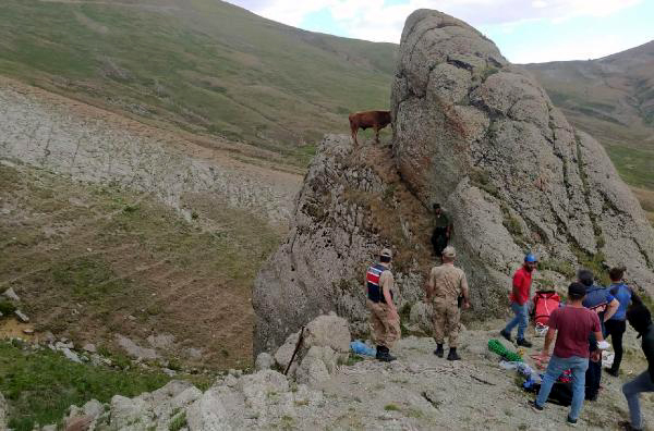 KAYALIKTA İNEK KURTARMA OPERASYONU