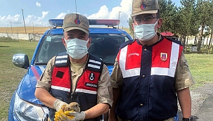 JANDARMA, KİMSESİZLERİN YARDIMINA KOŞTU