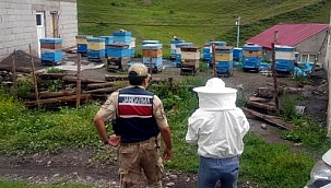 'KAÇAK ARICI' KÜL YUTTURAMADI!