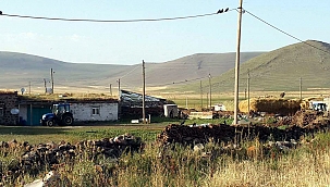 MOLLAHASAN’A 14 GÜNLÜK KARANTİNA