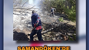 GÖLE'DE ALEVLER KORKUTTU!