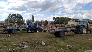 GÖLE'DE KAÇAK AĞAÇ KESİMİNE SUÇÜSTÜ