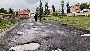 BU YOLLAR NE ZAMAN YAPILACAK?