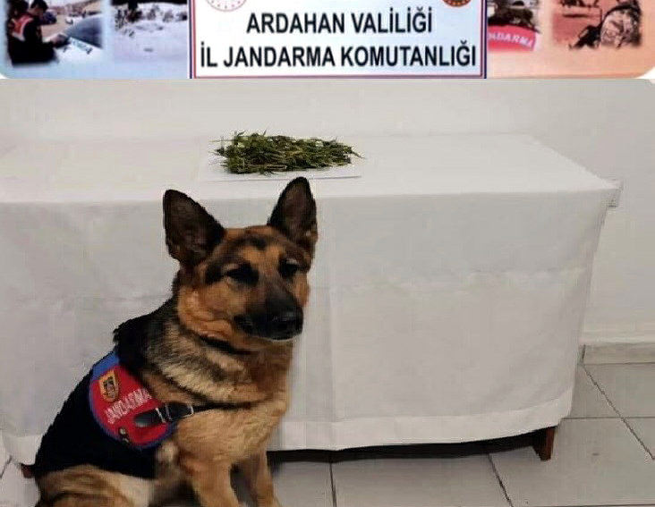 GIDA SANDIĞINDAN UYUŞTURUCU ÇIKTI!