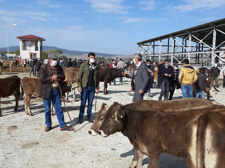 GÖLE'DE SEVK İŞLEMLERİ, HAYVAN PAZARI’NDA YAPILACAK