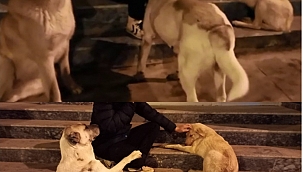 BU KADAR VURDUMDUYMAZLIK  OLMAZ!