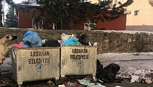 BELEDİYEDE NELER OLUYOR? ÇÖPLER NEDEN TOPLANMIYOR?