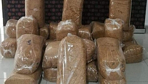 HANAK'TA KIYILMIŞ AÇIK TÜTÜN ELE GEÇİRİLDİ
