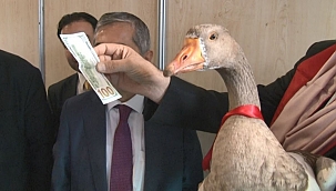 PODYUMUN KRALİÇESİ OLDU, 100 DOLARI KAPTI!