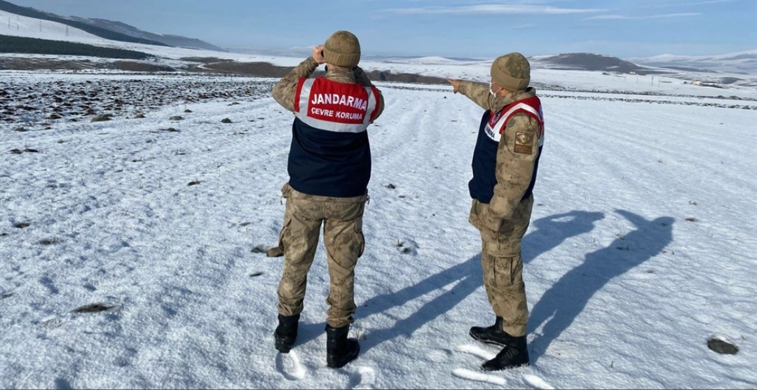 YASADIŞI AVCILIK VE ORMAN KAÇAKÇILIĞIYLA MÜCADELE SÜRÜYOR