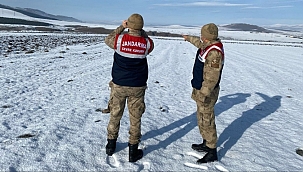 YASADIŞI AVCILIK VE ORMAN KAÇAKÇILIĞIYLA MÜCADELE SÜRÜYOR