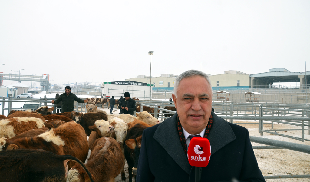 CANİP KARA: ARDAHAN’DA HAYVANCILIK CAN ÇEKİŞİYOR