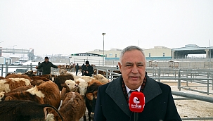 CANİP KARA: ARDAHAN’DA HAYVANCILIK CAN ÇEKİŞİYOR