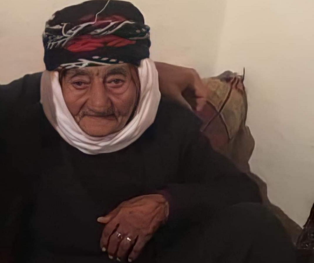 OSMANLI'YI GÖREN ASIRLIK ÇINAR ARTIK YOK!
