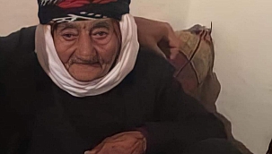 OSMANLI'YI GÖREN ASIRLIK ÇINAR ARTIK YOK!