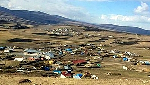HOÇVAN, ŞAP NEDENİYLE KARANTİNAYA ALINDI
