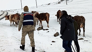 DAMAL’DA HAYVAN OTLATIRKEN KAYBOLAN YAŞLI KADIN BULUNDU