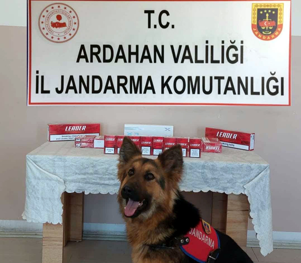 JANDARMA'DAN KAÇAK SİGARA OPERASYONU