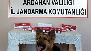 JANDARMA'DAN KAÇAK SİGARA OPERASYONU