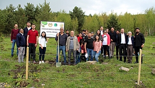 ARDAHAN BAROSU, HATIRA ORMANI KURDU