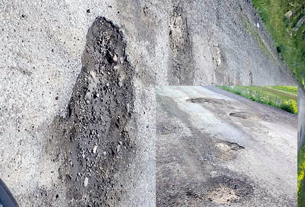 DEDEŞEN VE DEDEKILIÇ YOLU NEDEN YAPILMIYOR?