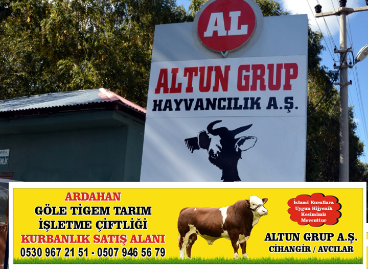GÖLE TİGEM'DE KURBANLIK SATIŞLARI BAŞLADI
