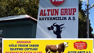 GÖLE TİGEM'DE KURBANLIK SATIŞLARI BAŞLADI