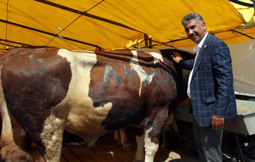 GÖLE TİGEM SAYESİNDE İSTANBULLULAR UCUZ KURBANLA BULUŞTU