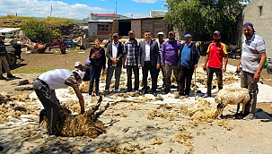 KOYUN KIRPAN KAYMAKAM FATİH BAYRAM, “KOYUN YÜNÜ ÜZERİNE PROJE GELİŞTİRECEĞİZ” DEDİ
