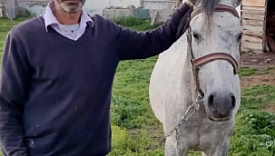 YASAKLI IRKIN SALDIRISINDA ATI ÖLÜMDEN DÖNMÜŞTÜ, KÖPEK SAHİBİNİN HEDİYESİYLE SEVİNCE BOĞULDU