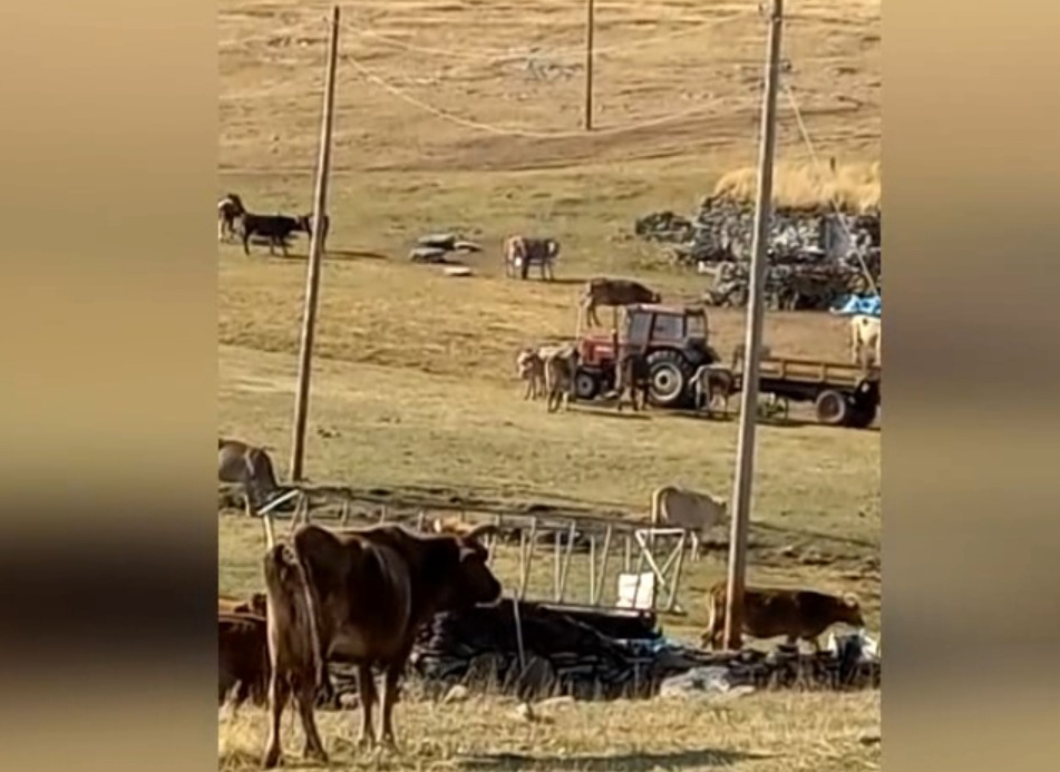 KARLIYAZI KÖYLÜLERİ, SU DERTLERİNİN ÇÖZÜLMESİNİ İSTİYOR