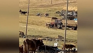 KARLIYAZI KÖYLÜLERİ, SU DERTLERİNİN ÇÖZÜLMESİNİ İSTİYOR