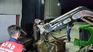 AFAD SADECE İNSANA DEĞİL, HAYVANLARINDA İMDADINA KOŞUYOR