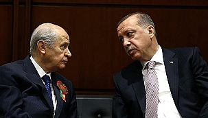 BİRLİKTE GİDECEKLER