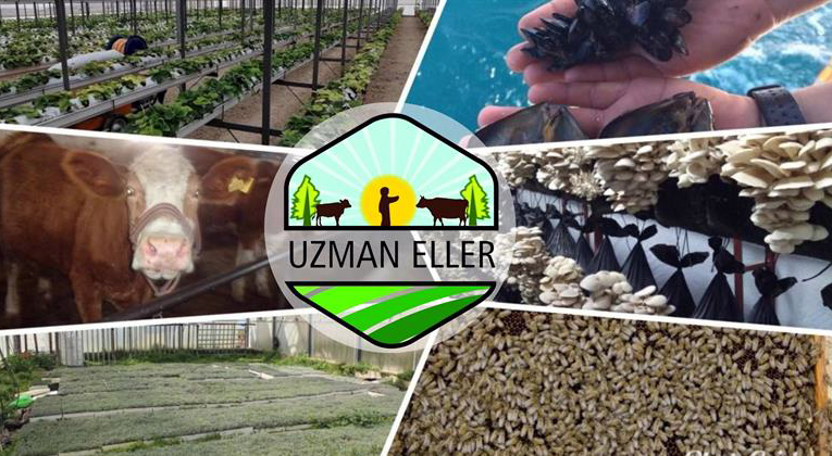 UZMAN ELLER PROJELERİ İÇİN BAŞVURULAR BAŞLADI