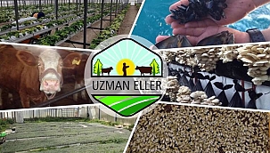 UZMAN ELLER PROJELERİ İÇİN BAŞVURULAR BAŞLADI