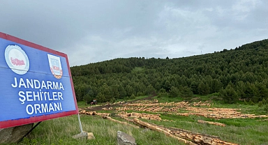 Bu kıyım durdurulsun