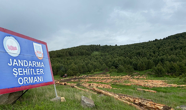 Bu kıyım durdurulsun