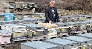 Evliyaoğlu: "Yağışlar bal verimini olumsuz etkiliyor"