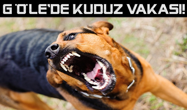 Göle'de Kuduz vakası görüldü