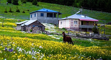 GÖLE’DE YAYLA FESTİVALİ COŞKUSU