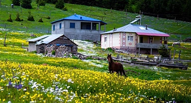 GÖLE’DE YAYLA FESTİVALİ COŞKUSU