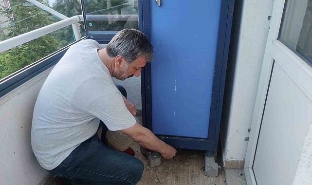 Güvercinin yuva yaptığı balkonu kullanmayı bıraktı