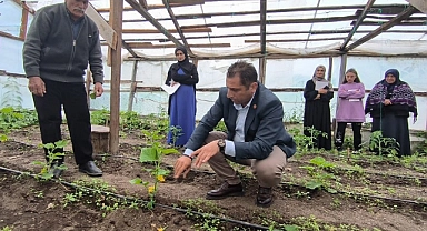 Kadın sera işletmecilerine eğitimler devam ediyor