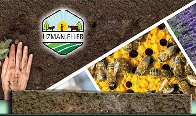 Kırsal kalkınmada uzman eller projeleri başvuru sonuçları açıklandı