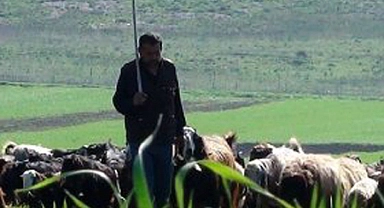 KÖYLER ÇOBANSIZ KALDI