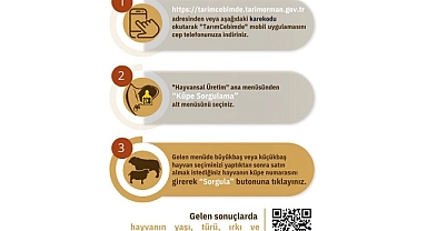 Kurbanlık hayvanlar 'Tarım Cebimde' ile sorgulanabiliyor