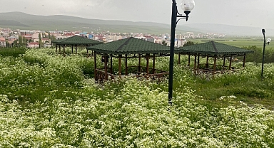 TARİHİ KALE BAKIM İSTİYOR