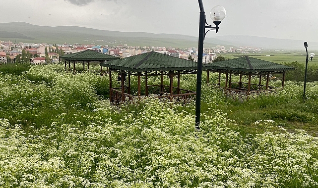 TARİHİ KALE BAKIM İSTİYOR