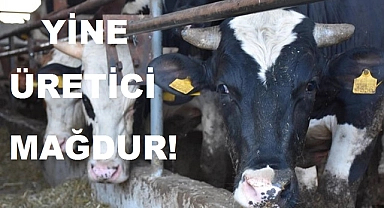 Yine üretici mağdur!